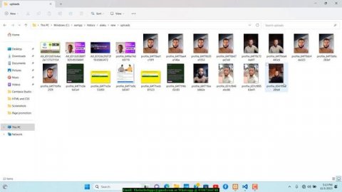 Troubleshooting: Fixing Database Image Display Problems