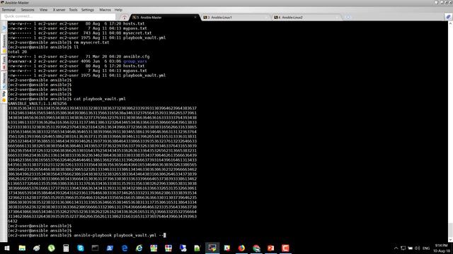 FDS-00003 | Ansible | 20 - Хранение Секретов - ansible-vault