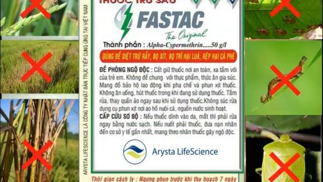 Fastac Dong