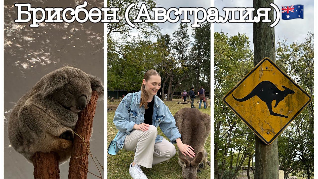 БРИСБЕН (Австралия)\Стюардесса Эмирейтс\ Командировка в городе Брисбен (Австралия).