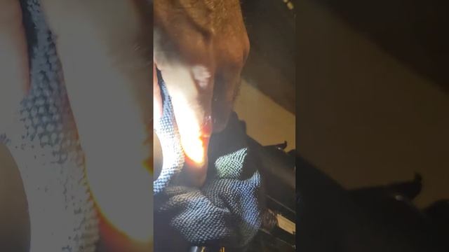 Found the elusive coolant leak in my 2006 Lexus LS430. Less than 3 year old Denso radiator leaking.