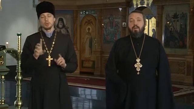 Запись передачи Ковчег от 24 января 2016 года.