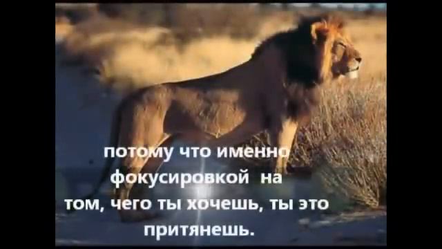 Закон притяжения
