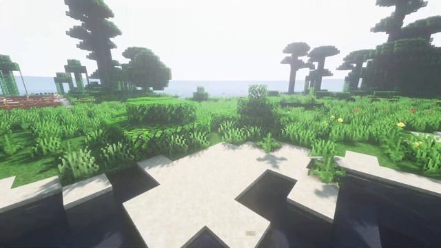 Minecraft 1.16.5 BSL Shaders + RTX Texture Pack