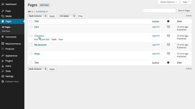 Wordpress WooCommerce Lectures For Beginners Part 1