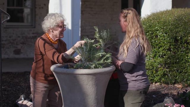 MUSC's Flower Beds and Containers
