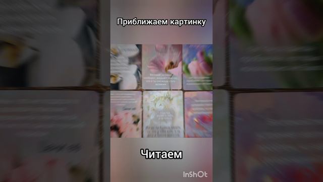 как пройдет предсентябрьская неделя?