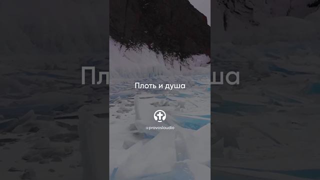 804 Плоть и душа — Иоанн Кронштадтский #Бог #душа #вера #молитва #сердце #любовь #жизнь #мудрость