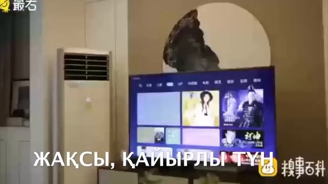 умный дом