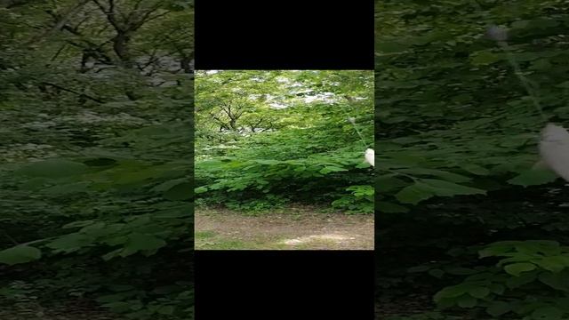 Речка