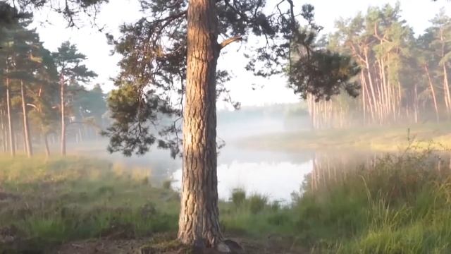 Теща после душа поразила своим видом молодого зятя. История из жизни.