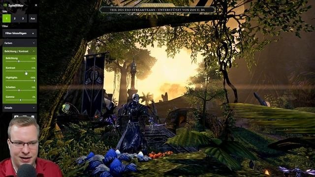 ESO bessere Grafik  Reshade Filter  Nvidia Freestyle  The Elder Scrolls Online Guide A-Z
