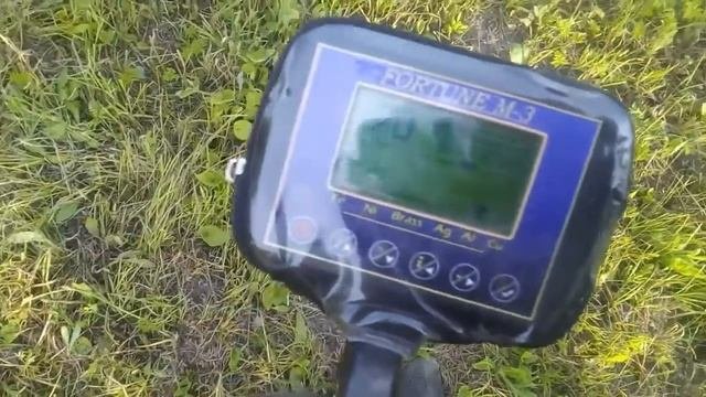 Коп на огороде в селе. Хозяйка разрешила.