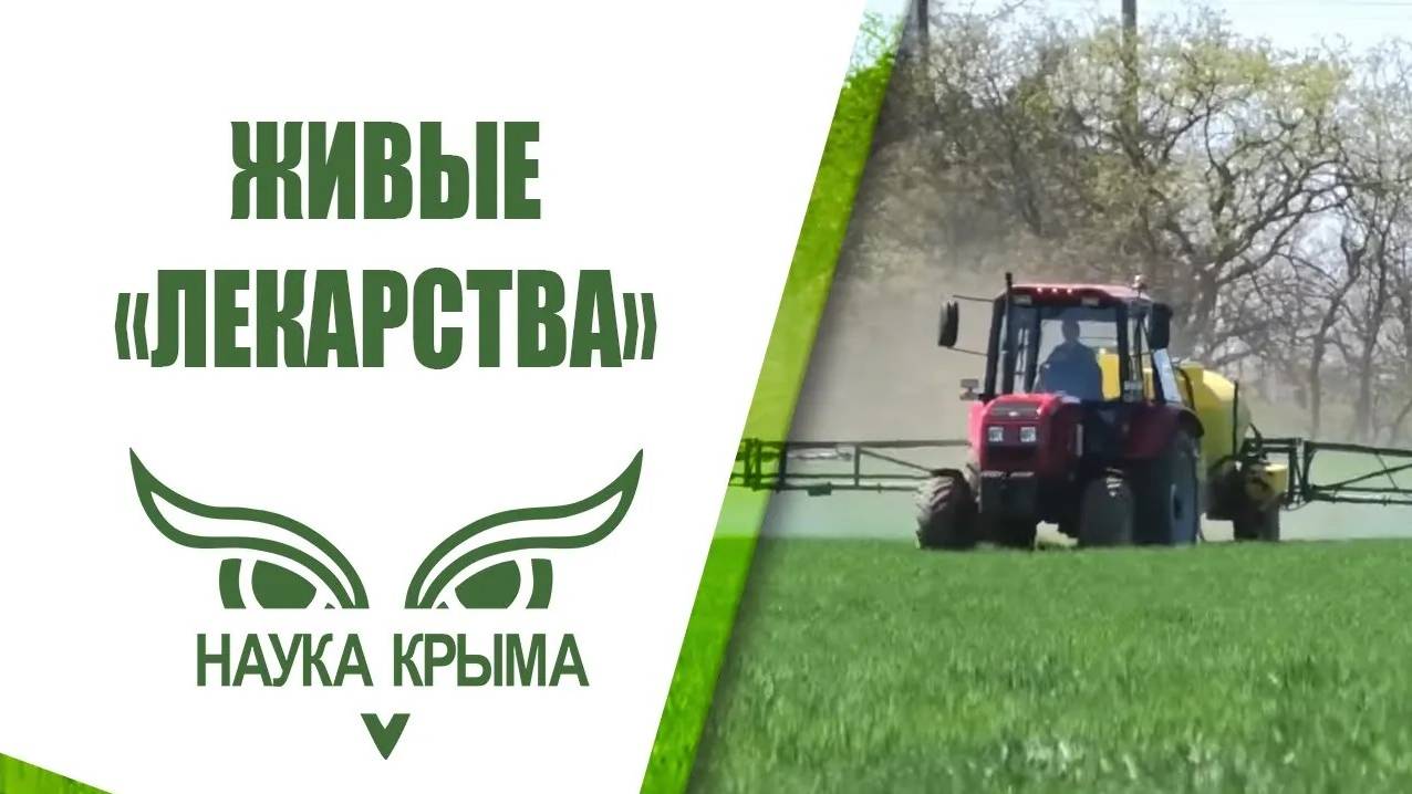 Живые _лекарства_