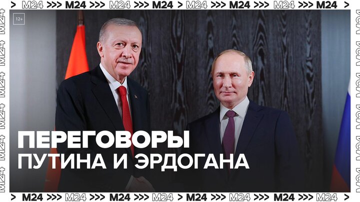 Переговоры Владимира Путина и Реджепа Тайипа Эрдогана пройдут в Сочи - Москва 24