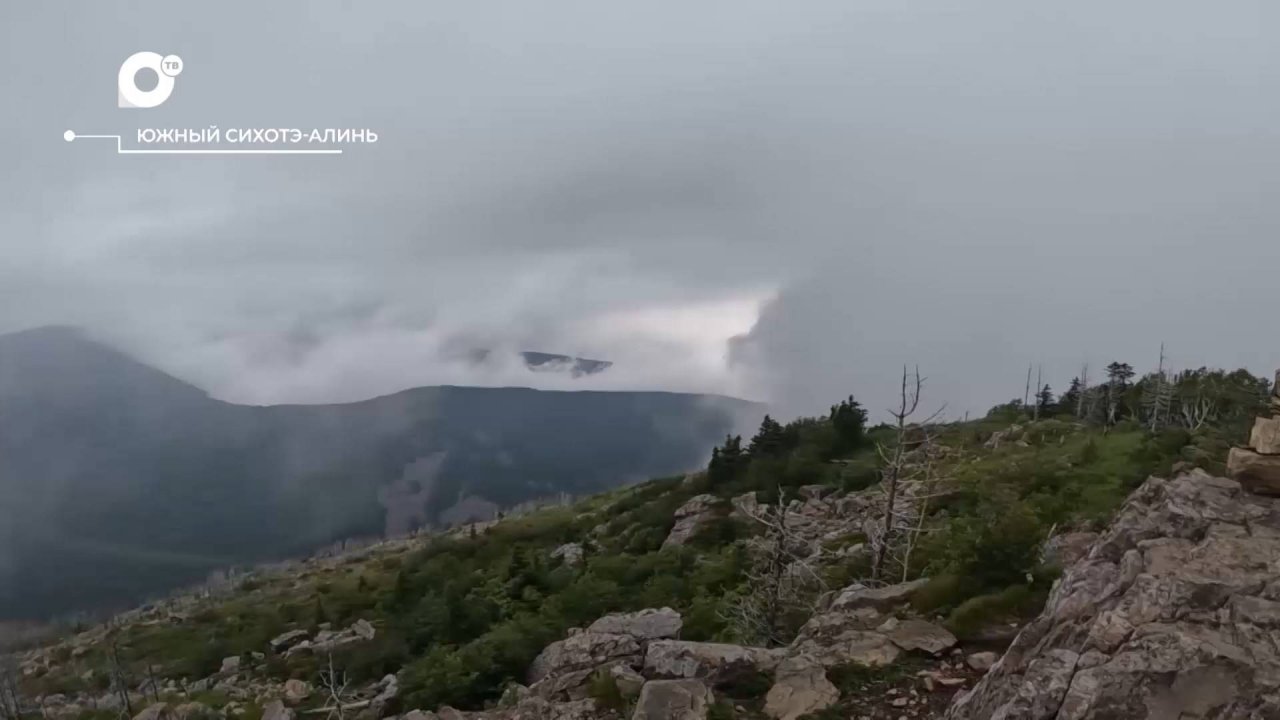 Разведка блогом / Фалаза - 1279 метров / 01.08.24