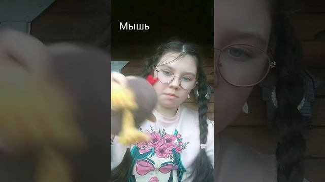 звуко-буквенный разбор слова мышь