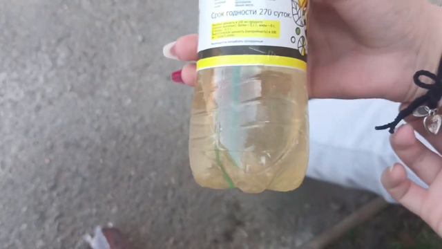 влог недели, со среды до воскресенья!