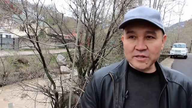 Казахская пословица о деревьях
