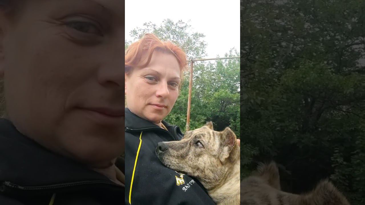 волшебное слово "пошли" знают все мои животные: для котов это вместо кис-кис, а собаки идут гулять