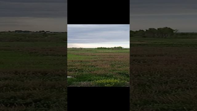 VID с горы Белкакам