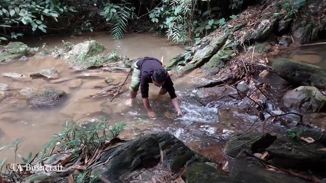 Gardening picking wild bamboo shoots and catching stream fish - 1 YEAR Alone LIVING OFF GRID.