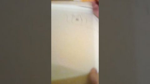 Как нарисовать дракона беззубика из мультфильма как приручить дракона 3.Урок рисования для детей.ли