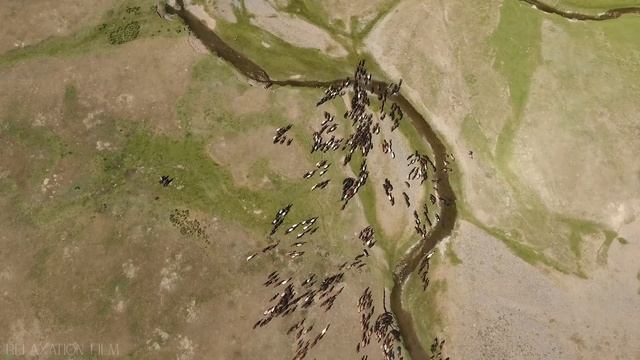 Mongolia 4K Relaxation Film - Silk Road - Peaceful Relaxing Music - Nature 4k Video UltraHD