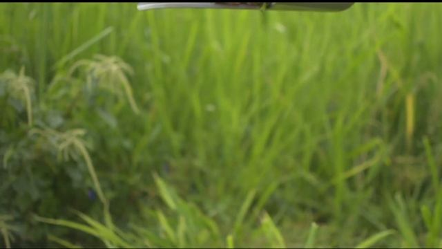 Nikon D7100 Cinematic Test