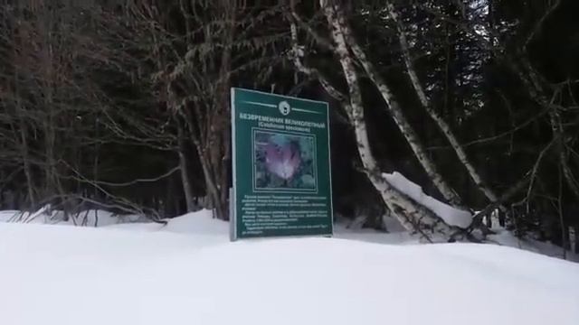 16 марта 2021 г. 2300м!!!  Перевал "Ганачхир"  Привет от Дмитрия из Черкесска!