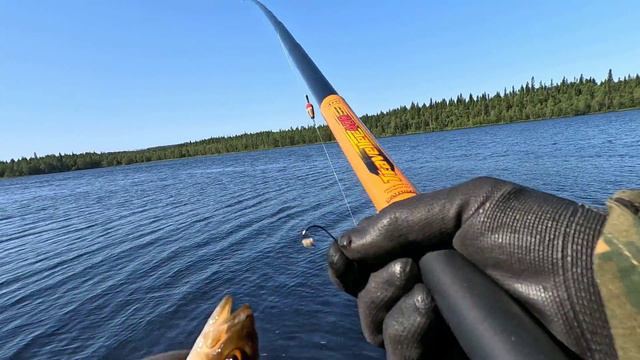 Крупный окунь на удочку, Рыбалка на реке.