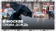 Дождь ожидается в Москве во второй половине дня 10 мая - Москва 24