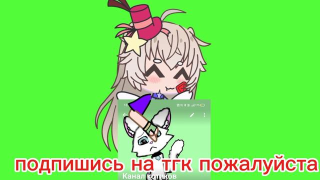 тгк канал котиков