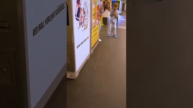 Гнездо mp4