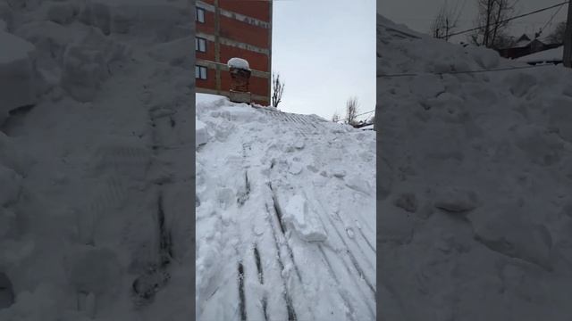 Откапываем книжный приют от снега! Через неделю плюсовая температура!