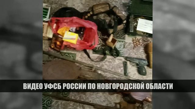 Демянский пенсионер осуждён за незаконное хранение в доме оружия и боеприпасов