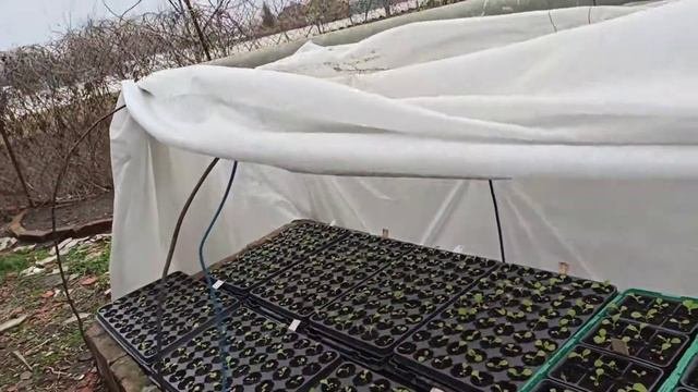 Подогрев теплиц 19.03.2021