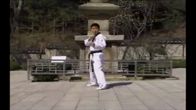 Revolution of Kicking 1