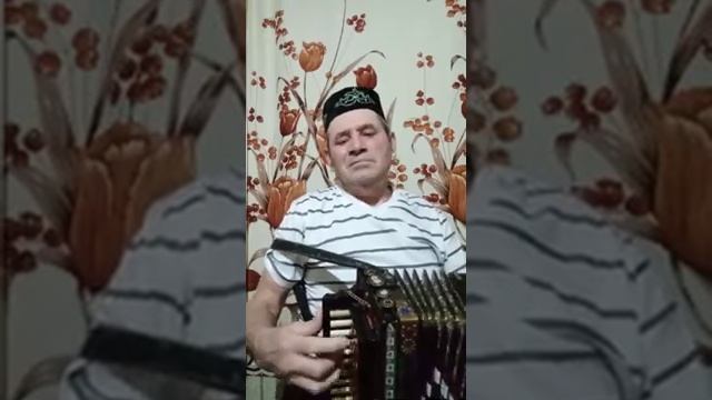 Татарская народная, на мастеровой тальянке.