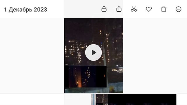 палочника в Ульяновске возможно сняли рядом возле моего дома(с 1 декабря!)