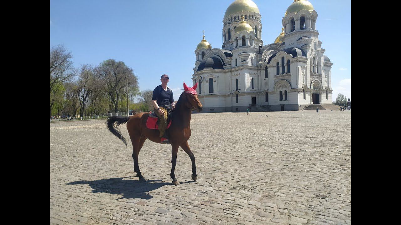 Лошадь-прокаты и фотосессии. Horse-rentals and photo shoots