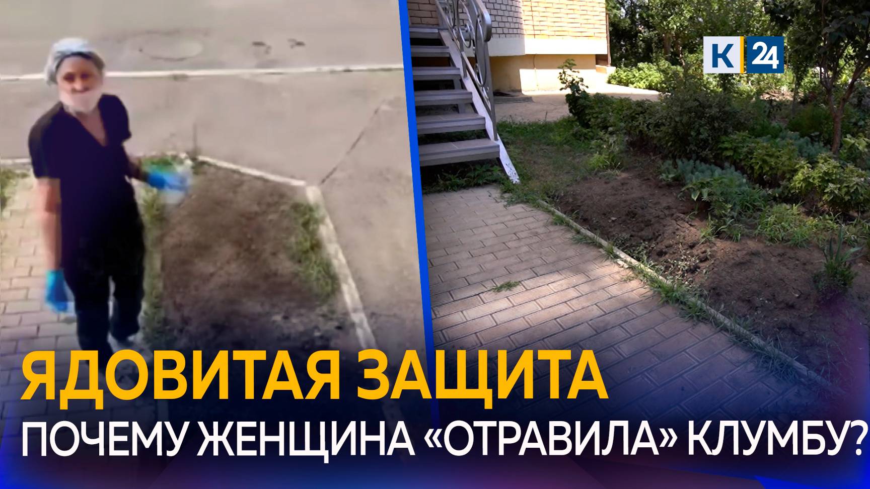 Жительница Краснодара угрожала отравить собак, чтобы защитить клумбы