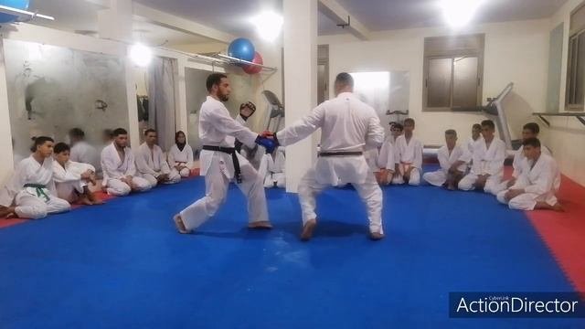Dima karate??????
