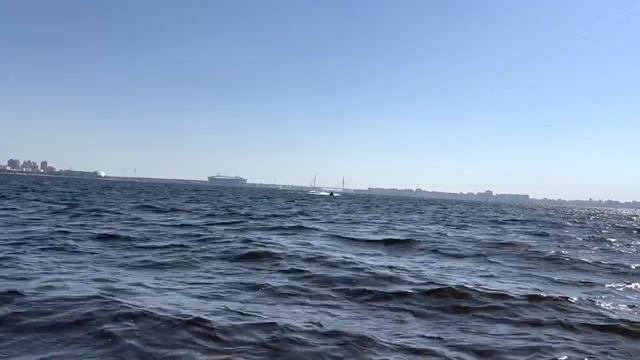 покатушки на Гидроцикле