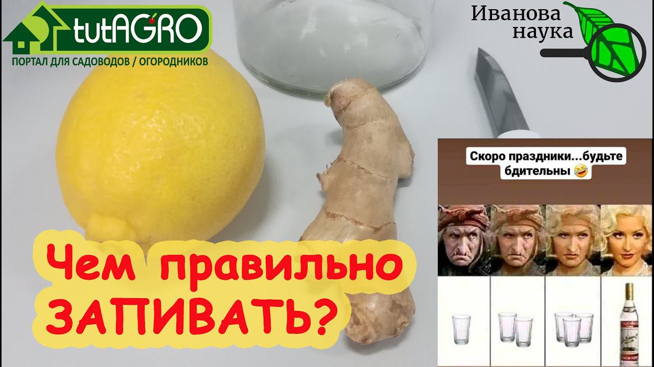 ОЗДОРОВЛЕНИЕ ПЕЧЕНИ. ЗАПИВАЕМ и ЛЕЧИМСЯ по науке! Чем запивать и что пить, чтобы на утро не болеть.