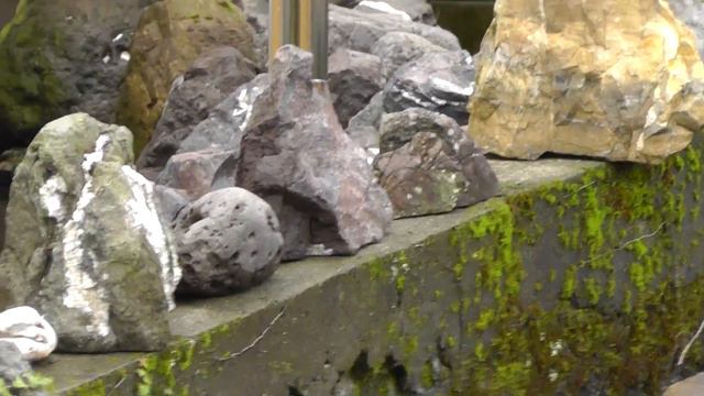 🚶♂️ Home of the Stone Collector - Softypapa Adventures - Walking in Japan