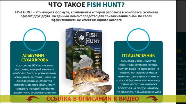 Fish hunt официальный сайт 💣