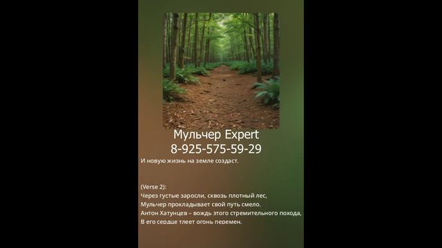 Мульчер Expert 8-925-575-59-29