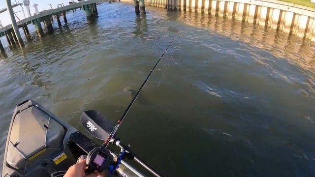 Packery Channel Flounder Fishing | Corpus Christi Summer Fishing | Berkley Gulp LIMITED EDITION!
