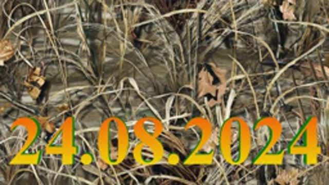 Лабаз. 24.08.2024